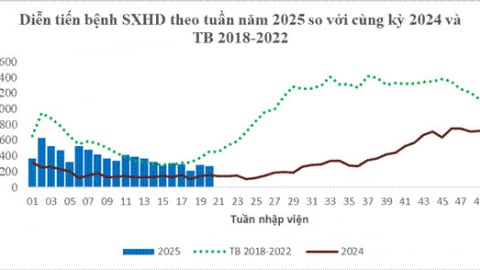 TP. Hồ Chí Minh: Tăng cường phát hiện các vật chứa nước có nguy cơ phát sinh loăng quăng để chủ động phòng bệnh SXH khi mùa mưa đến