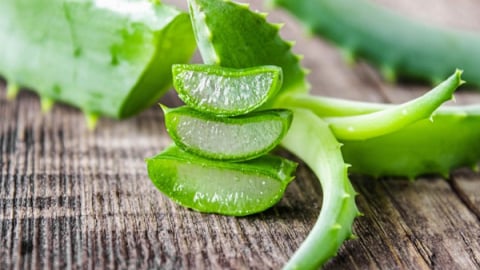 5 lợi ích bất ngờ của nha đam