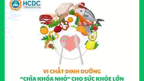Vi chất dinh dưỡng - “Chìa khóa nhỏ” cho sức khỏe lớn
