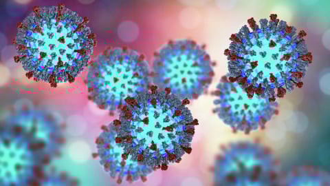 Virus xâm nhập vào cơ thể chúng ta như thế nào?