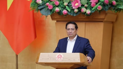 Kiểm soát đặc biệt các sản phẩm thực phẩm có nguy cơ cao, sử dụng sai mục đích, chứa chất cấm