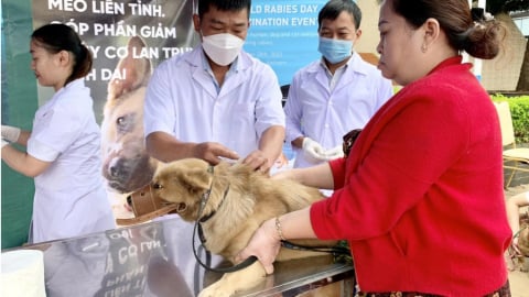 Gia Lai: Ghi nhận thêm một ca tử vong do bệnh dại