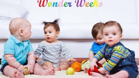 Hiểu về Wonder Weeks và những giai đoạn phát triển quan trọng của trẻ