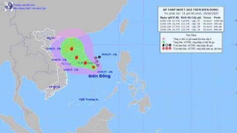 Chủ động ứng phó với áp thấp nhiệt đới trên Biển Đông