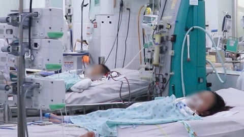 TP Hồ Chí Minh: Ghi nhận nhiều trẻ mắc sốt xuất huyết nặng