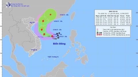 Cập nhật đường đi của cơn bão số 1 (Wutip)