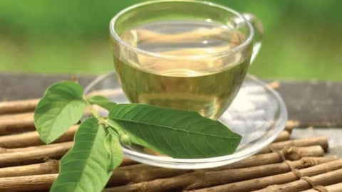 Bí mật sức khỏe từ trái ổi: Tốt cho tim, hỗ trợ chống ung thư