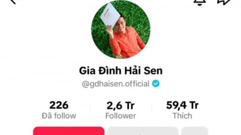 Chủ kênh TikTok 'Gia đình Hải Sen' bị bắt nghi buôn bán hàng giả