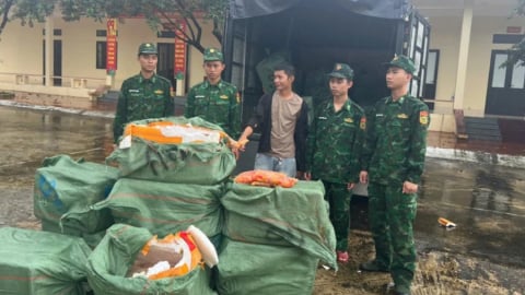 Quảng Ninh: Thu giữ 1.170kg trứng gà non không rõ nguồn gốc