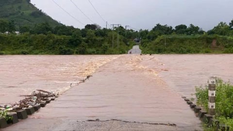 Quảng Trị: Nhận hỗ trợ giống lúa khẩn cấp từ Bộ Nông nghiệp và Môi trường sau bão số 1