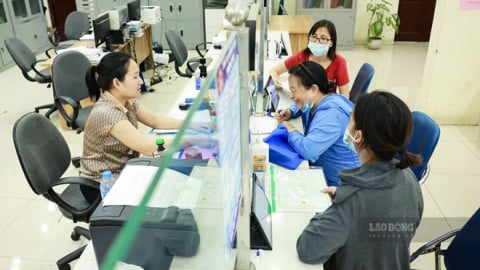 Dự kiến các trường hợp xét tuyển công chức vào vị trí việc làm