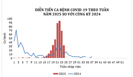 TP. Hồ Chí Minh: Số ca nhiễm COVID-19 đang có khuynh hướng giảm nhanh