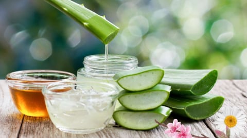 Bí quyết dưỡng mi và làm sáng da với lô hội