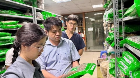 Bộ Y tế: Chấn chỉnh công tác quản lý lĩnh vực y, dược cổ truyền