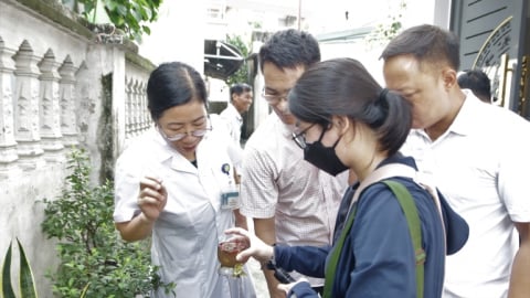 CDC Hà Nội giám sát ổ dịch sốt xuất huyết tại xã Liên Hiệp, huyện Phúc Thọ