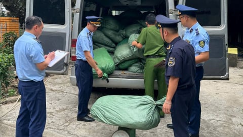 Cao Bằng: Phát hiện, thu giữ gần 123.000 kg nguyên liệu thuốc lá nhập lậu, không rõ nguồn gốc
