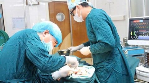 Người đàn ông bị hàng chục con giòi ký sinh trong má do tự ý dùng thuốc diệt cỏ xử lý vết thương