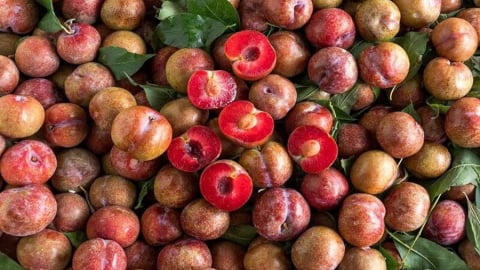 5 nhóm người nên hạn chế ăn quả mận