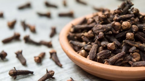 Đinh hương – Hỗ trợ tiềm năng trong điều trị ung thư vú