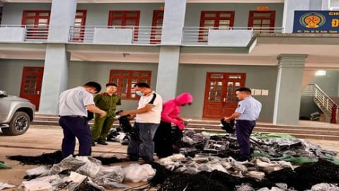 Ninh Bình: Tiêu huỷ hơn 56.500 sản phẩm quần áo và phụ kiện may mặc giả mạo nhãn hiệu