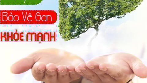 Lối Sống Hiện Đại Đang Âm Thầm Tàn Phá Lá Gan Của Chúng Ta