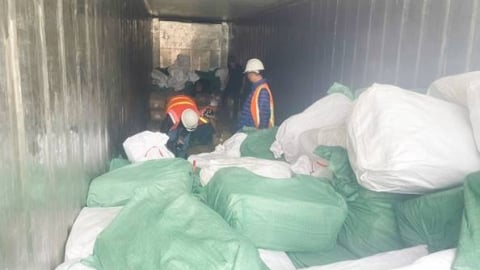 Thủ đoạn xuất khống 1.400 tấn chân gà đông lạnh, trốn thuế 7 tỷ đồng