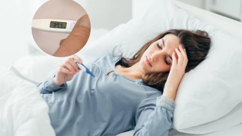 Nhận diện cơn sốt và cách giảm sốt nhanh, hiệu quả 