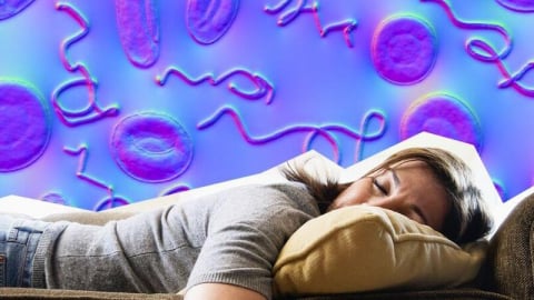 Những tác hại khi không vệ sinh giường ngủ thường xuyên