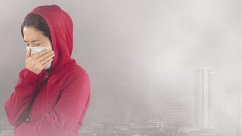 Bụi mịn quanh bạn: Hiểm họa sức khỏe, làm sao loại bỏ?