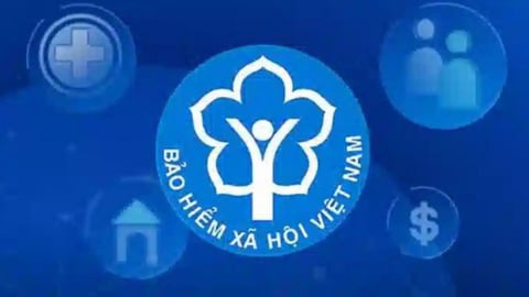 Trình tự, thủ tục thành lập Hội đồng quản lý bảo hiểm xã hội