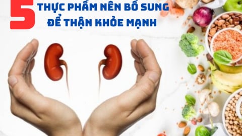 Bổ sung 5 thực phẩm này đúng cách giúp thận khỏe mạnh từ bên trong
