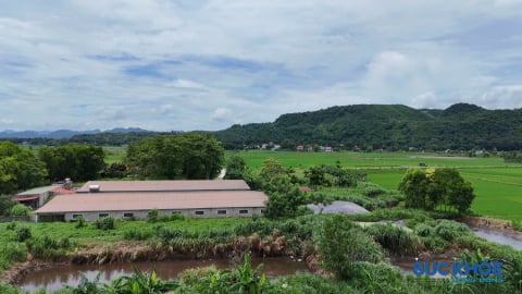 Thanh Hóa: Nỗi ám ảnh mang tên ô nhiễm tại trang trại lợn ở hai xã Thành Vinh và Thạch Bình