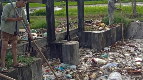 Thanh Hoá: Tăng cường kiểm tra, ngăn ngừa vứt xác động vật chết trên các kênh