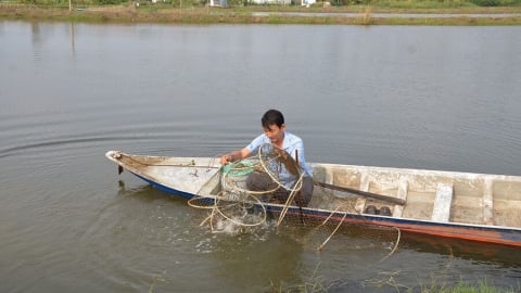 Chuyển đổi sản xuất nông nghiệp thích ứng biến đổi khí hậu