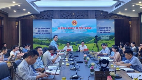 Tháo gỡ vướng mắc trong phân quyền, phân cấp lĩnh vực trồng trọt và bảo vệ thực vật