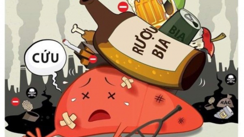 Tác hại của rượu bia đối với gan: Làm gì để bảo vệ gan của bạn?
