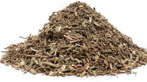 Cỏ roi ngựa: Vị thuốc dân gian tiềm năng với nhiều lợi ích sức khỏe