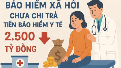 TP. HCM: Vì sao gần 2.500 tỷ đồng tiền bảo hiểm y tế bị “treo”?