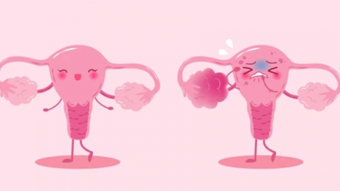 Vì sao bạn nên chăm sóc kỹ vùng kín mỗi ngày?