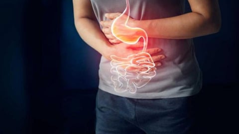 Đường ruột quyết định sức khỏe của bạn ra sao?