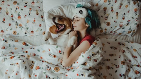 Có nên cho chó, mèo ngủ chung?