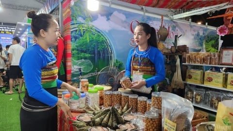 Liên hoan văn hóa ẩm thực xứ Thanh: “Đậm bản sắc - Bừng tinh hoa”