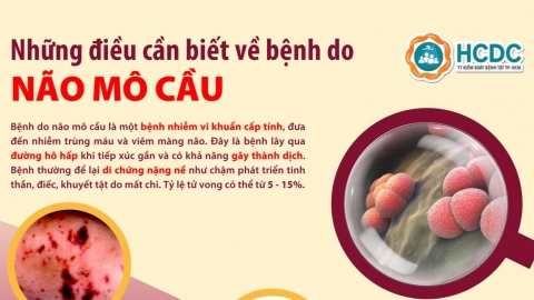 Infographic: Những điều cần biết về bệnh do não mô cầu