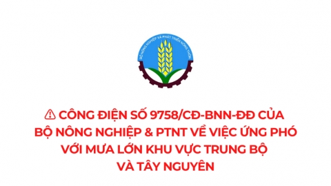 Chủ động ứng phó với mưa lớn khu vực Trung Bộ và Tây Nguyên