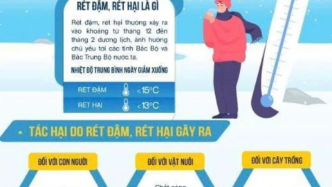 Infographic: Các tỉnh, thành phố Bắc Bộ và Bắc Trung Bộ chủ động ứng phó với rét đậm, rét hại