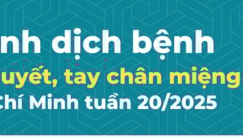 TP. Hồ Chí Minh: Cập nhật tình hình dịch bệnh trong tuần 20