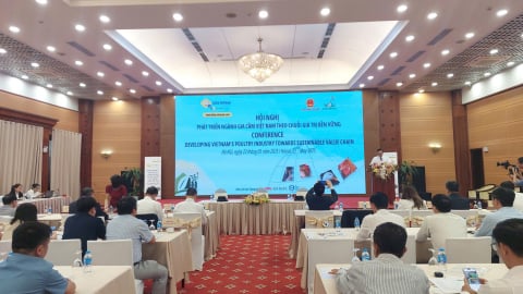 Tăng cường liên kết chuỗi giá trị trong ngành gia cầm: Chìa khóa bảo vệ sức khỏe cộng đồng và phát triển bền vững