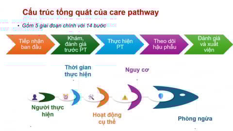 Sở Y tế TP. Hồ Chí Minh: Chủ động chuẩn hóa quy trình và bảo vệ người bệnh trong phẫu thuật thẩm mỹ