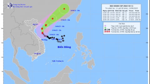 Tin bão khẩn cấp - cơn bão số 1 Wutip