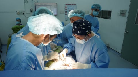 Khi sự ra đi gieo mầm cho những cuộc đời mới